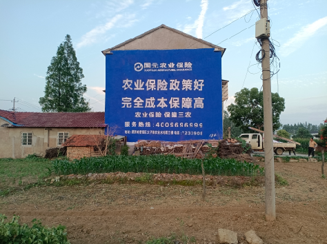 松阳墙体广告的优劣势你知道吗？